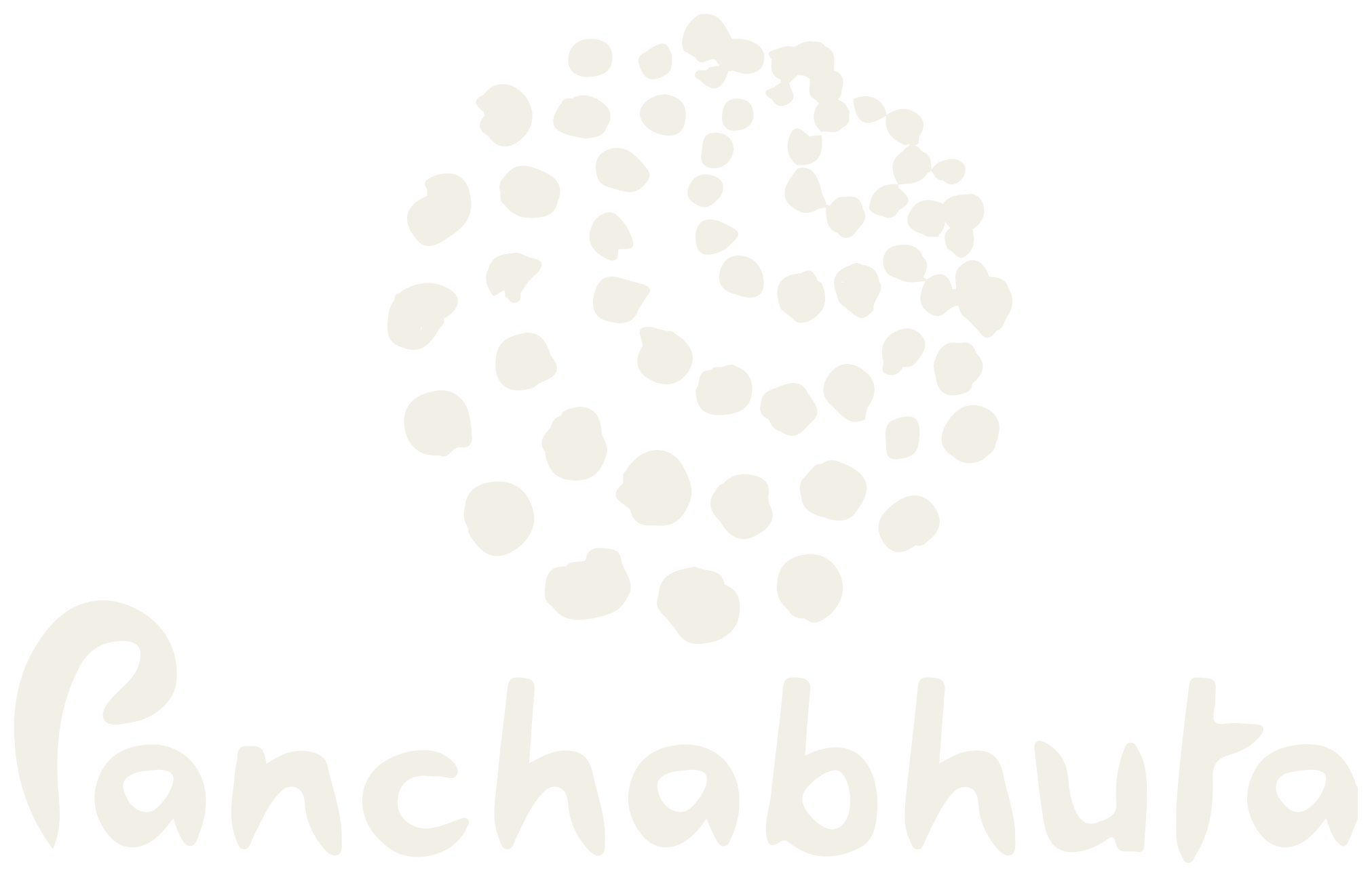 Panchabhuta Conservation Foundation