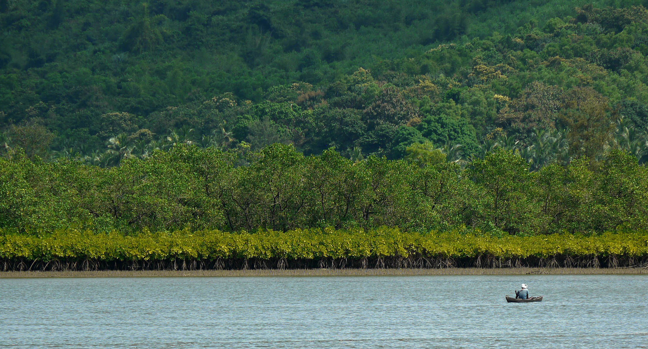 Mangrove fishing grounds, Aghanashini estuary — the landscape Panchabhuta's work is grounded in